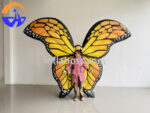 Butterfly - Image 6