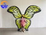 Butterfly - Image 3