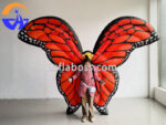 Butterfly - Image 2